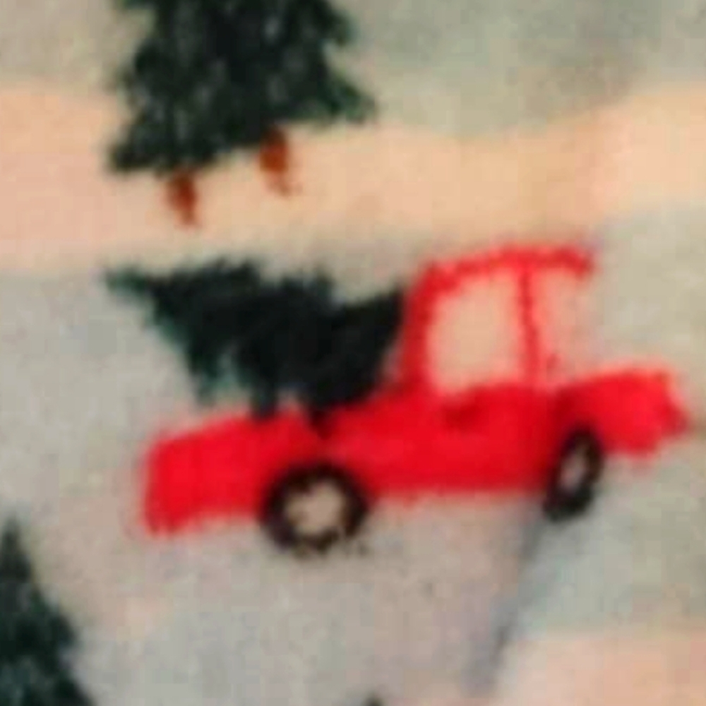 Merry Moments Red Truck Plush Throw
